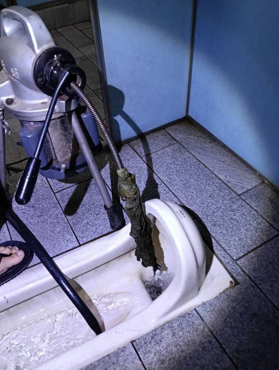 �x���_�ٰϳq����