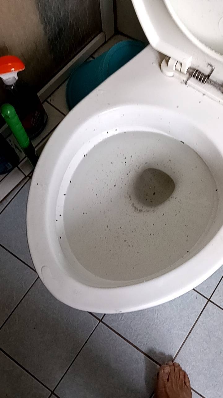 �x���F�ϳq����