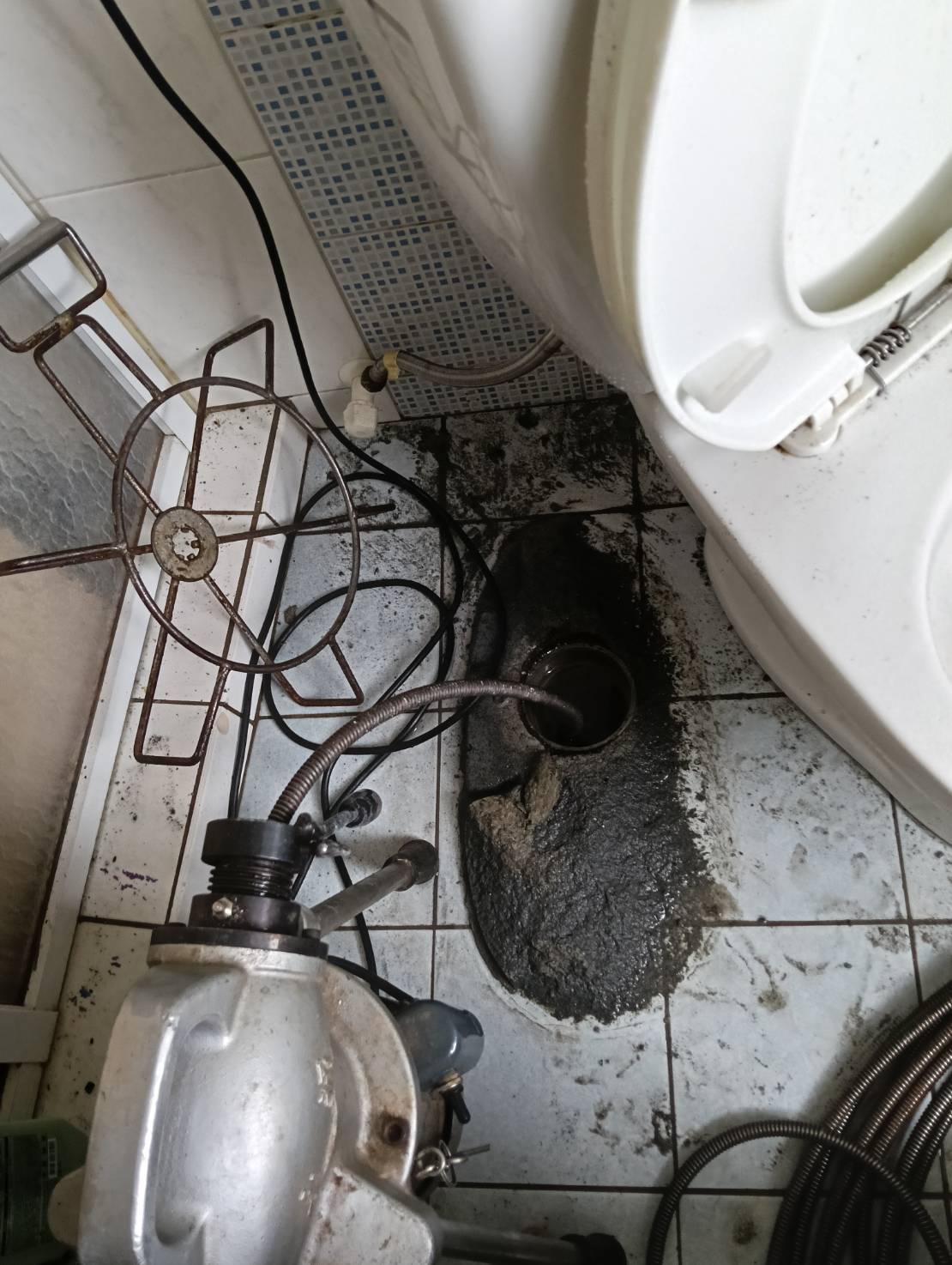 �x���F�ϳq����