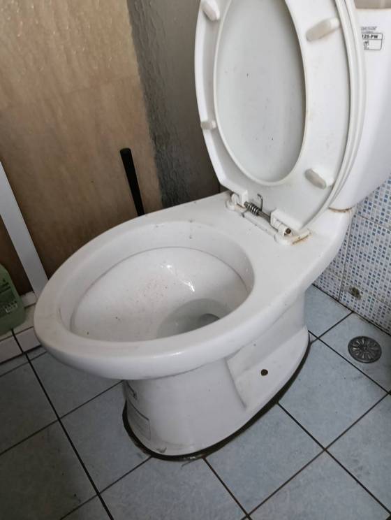 �x���F�ϳq����