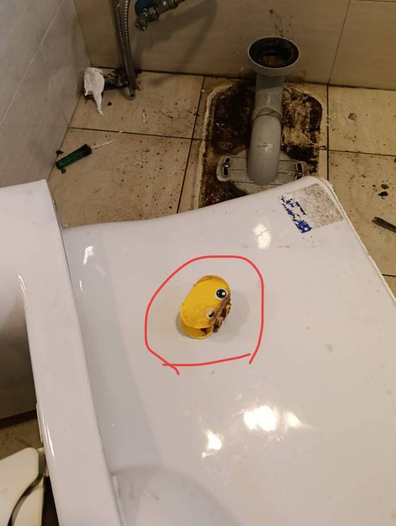 �x���F�ϳq����